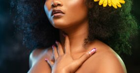 coiffure-inspiration-cheveu-crepu-boucle-afro
